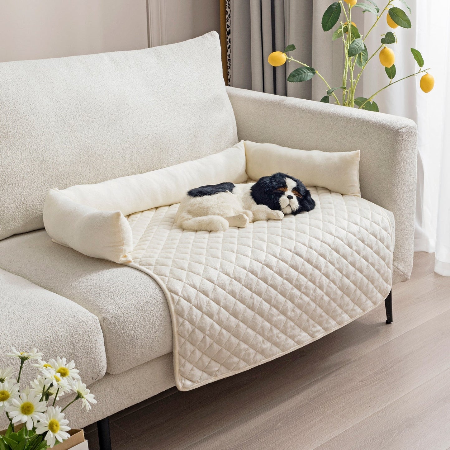 Norvo | Hundesofa med pute.