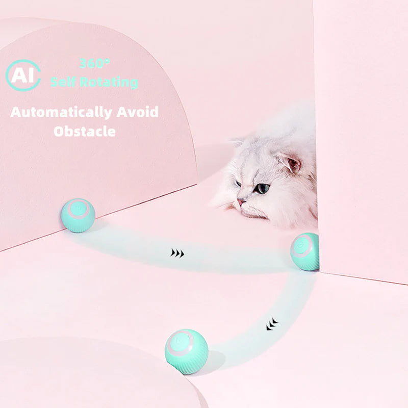 Norvo | Smart Cat Interaktive Ball Leketøy