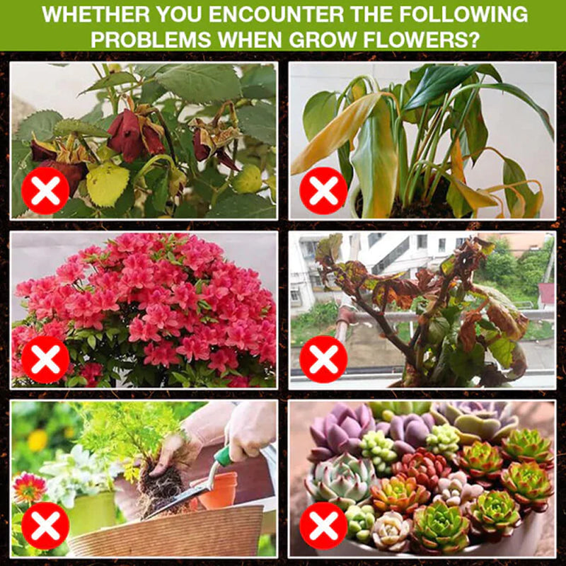 Norvo | Plantevekstforsterker Tilskudd