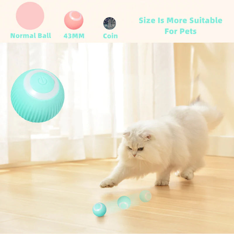 Norvo | Smart Cat Interaktive Ball Leketøy