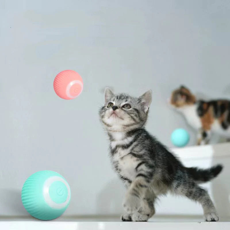 Norvo | Smart Cat Interaktive Ball Leketøy