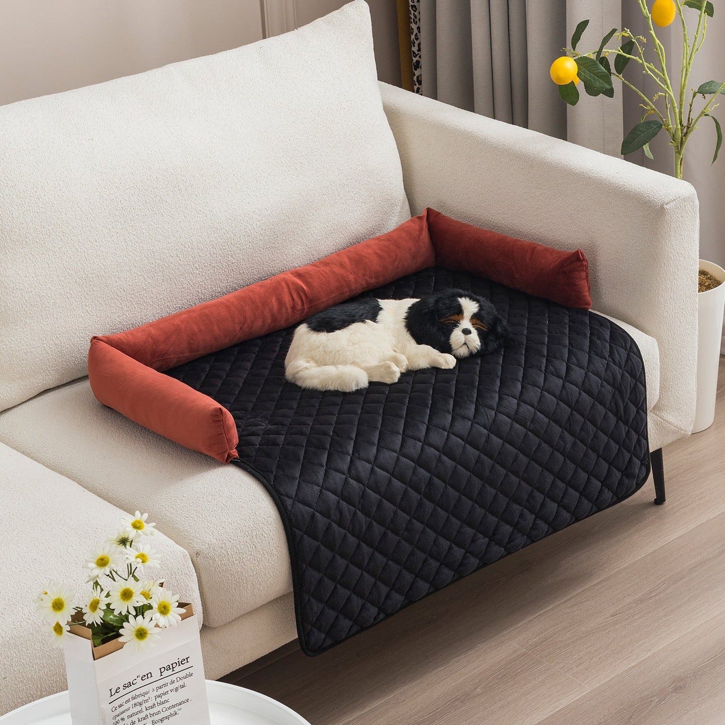 Norvo | Hundesofa med pute.