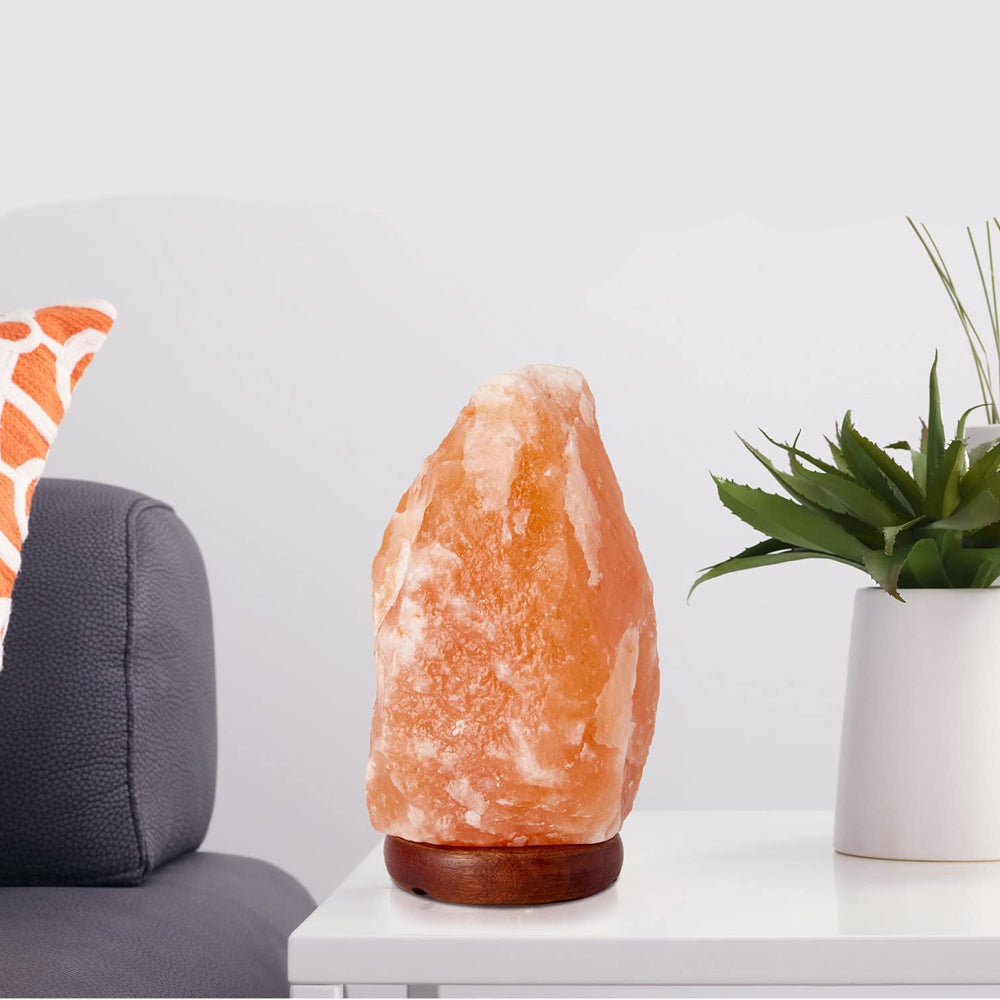 Norvo | Himalayasaltlampe med dimmerbryter