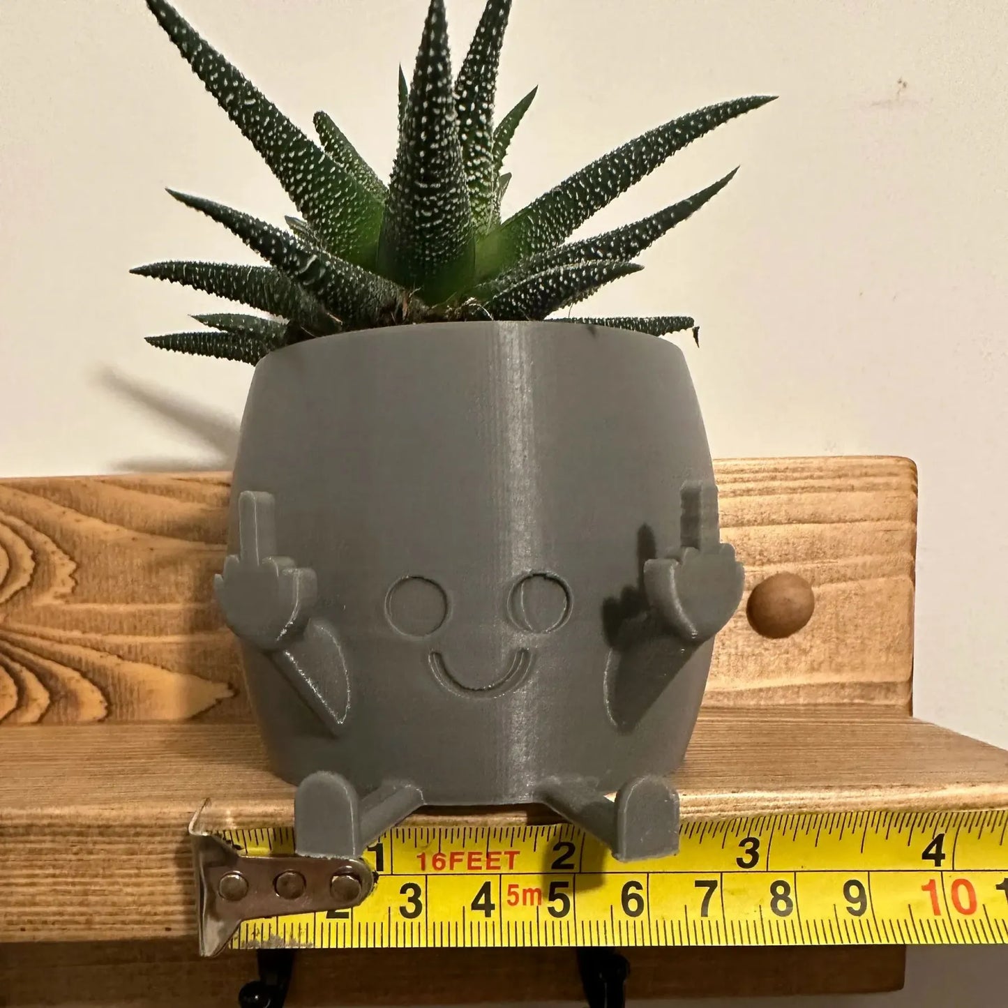 Norvo | Smilende Blomsterpotte med Midtfinger Opp