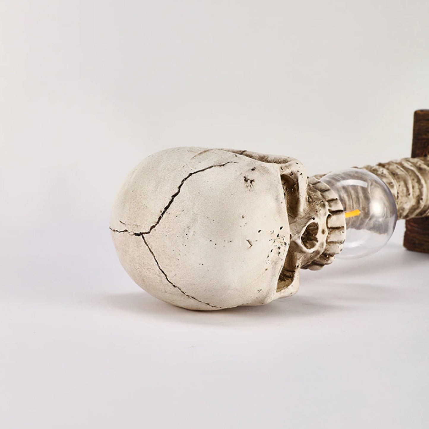 Norvo | Skjelett med ryggrad Lampe