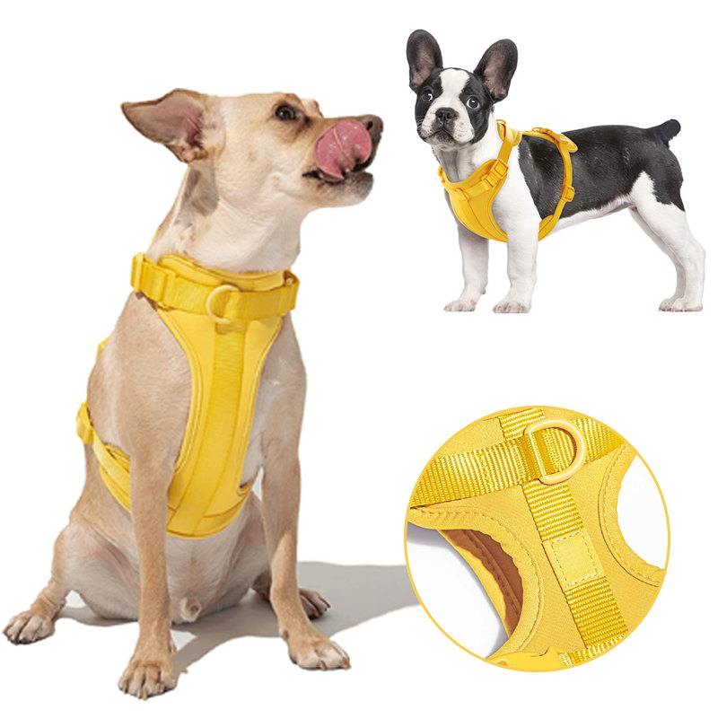 Norvo | Adjustable Dog Vest Harness with 3 Leash Clips