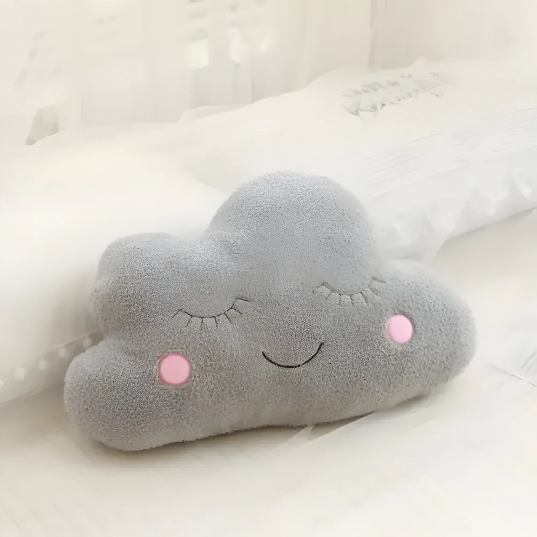 Norvo | Plysj Dekorativ Pute