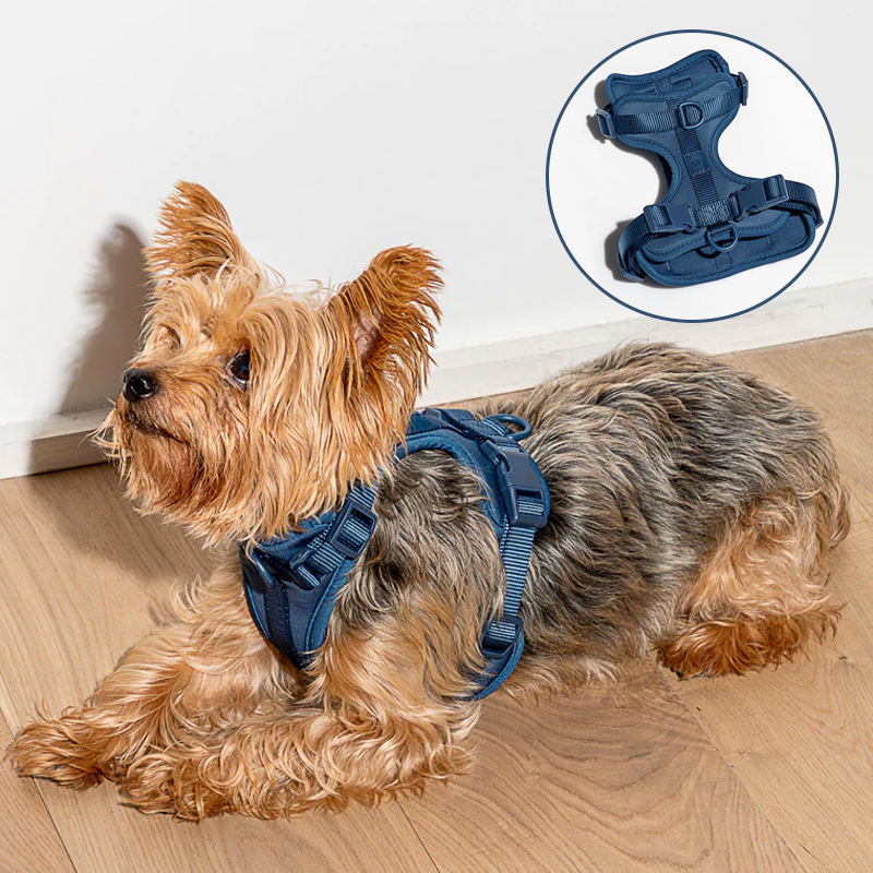 Norvo | Adjustable Dog Vest Harness with 3 Leash Clips