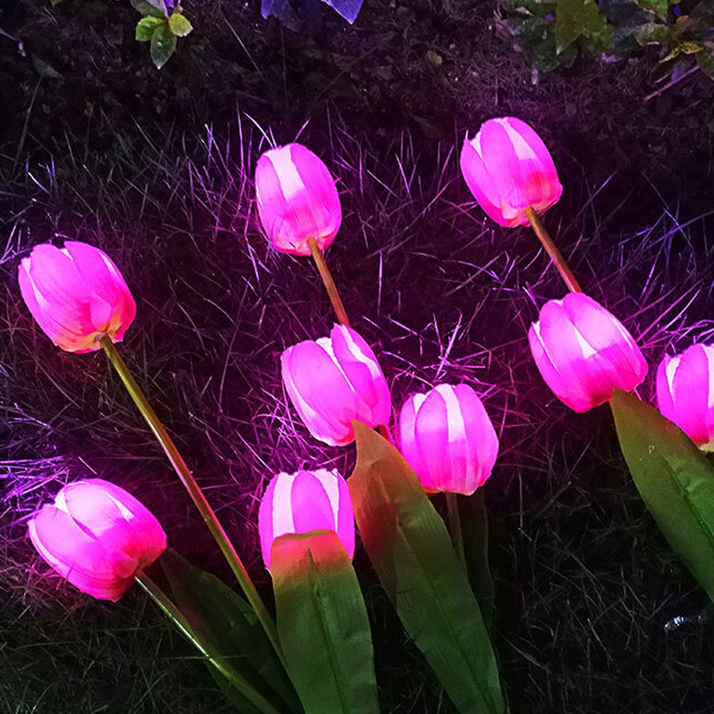 Norvo | Solar Tulip Plenlys Utendørs Hage LED Tulipan Blomsterlys Bakke Stakelandskapslys