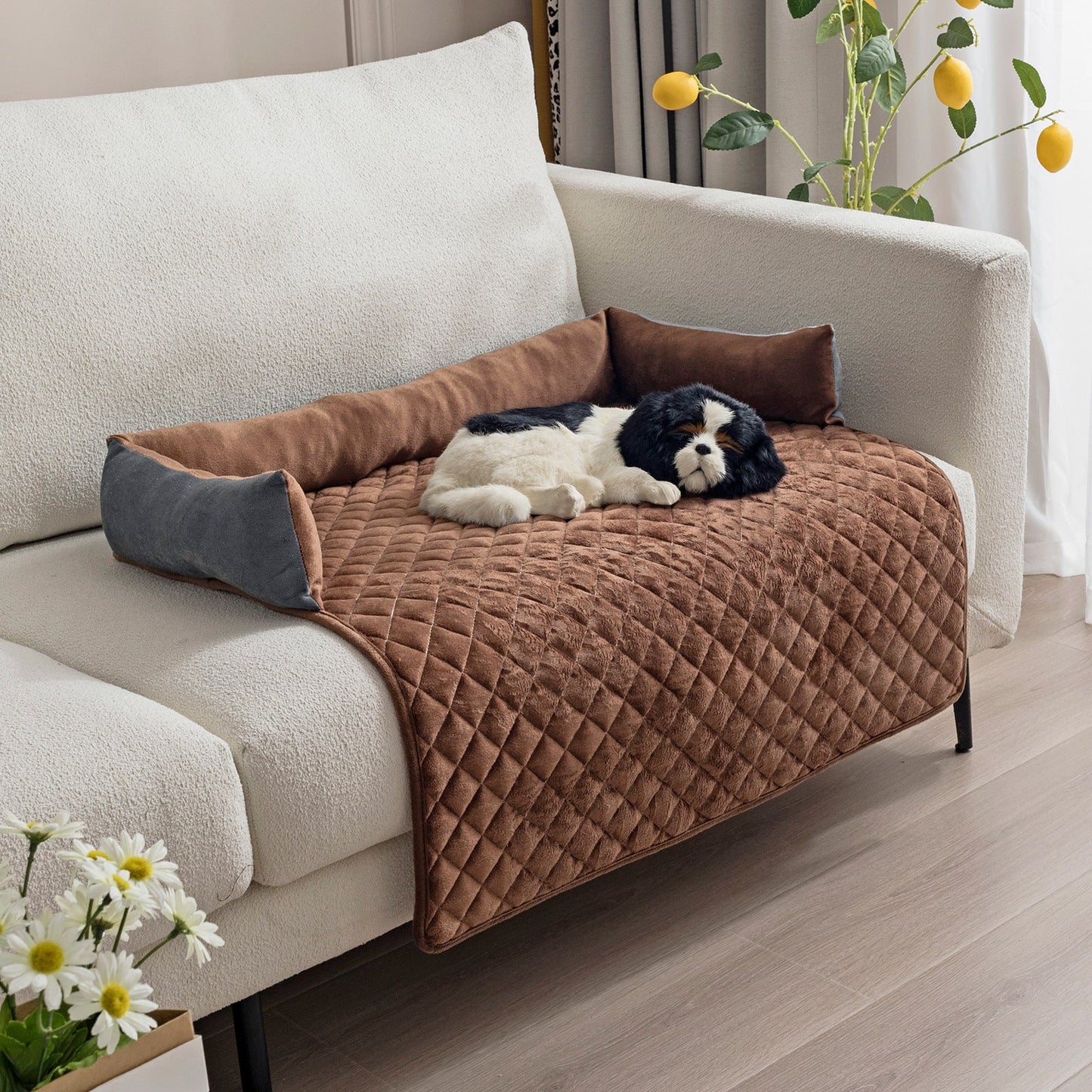 Norvo | Hundesofa med pute.