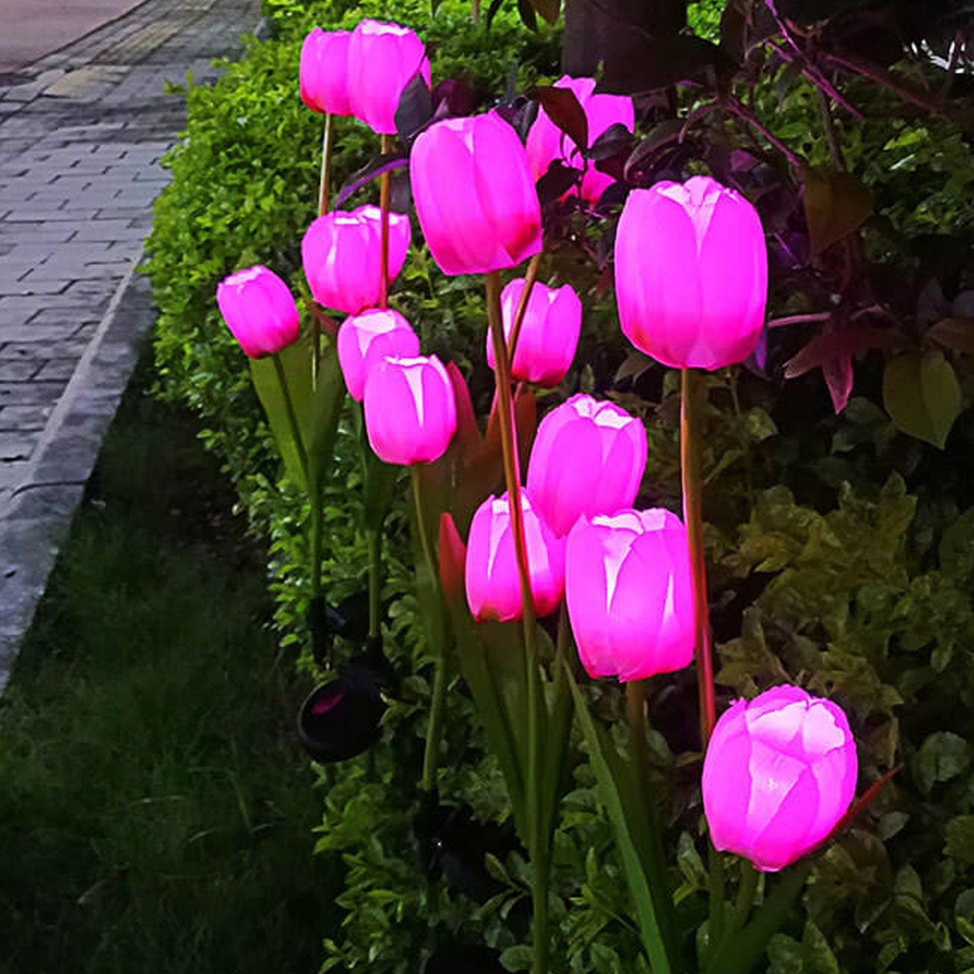 Norvo | Solar Tulip Plenlys Utendørs Hage LED Tulipan Blomsterlys Bakke Stakelandskapslys