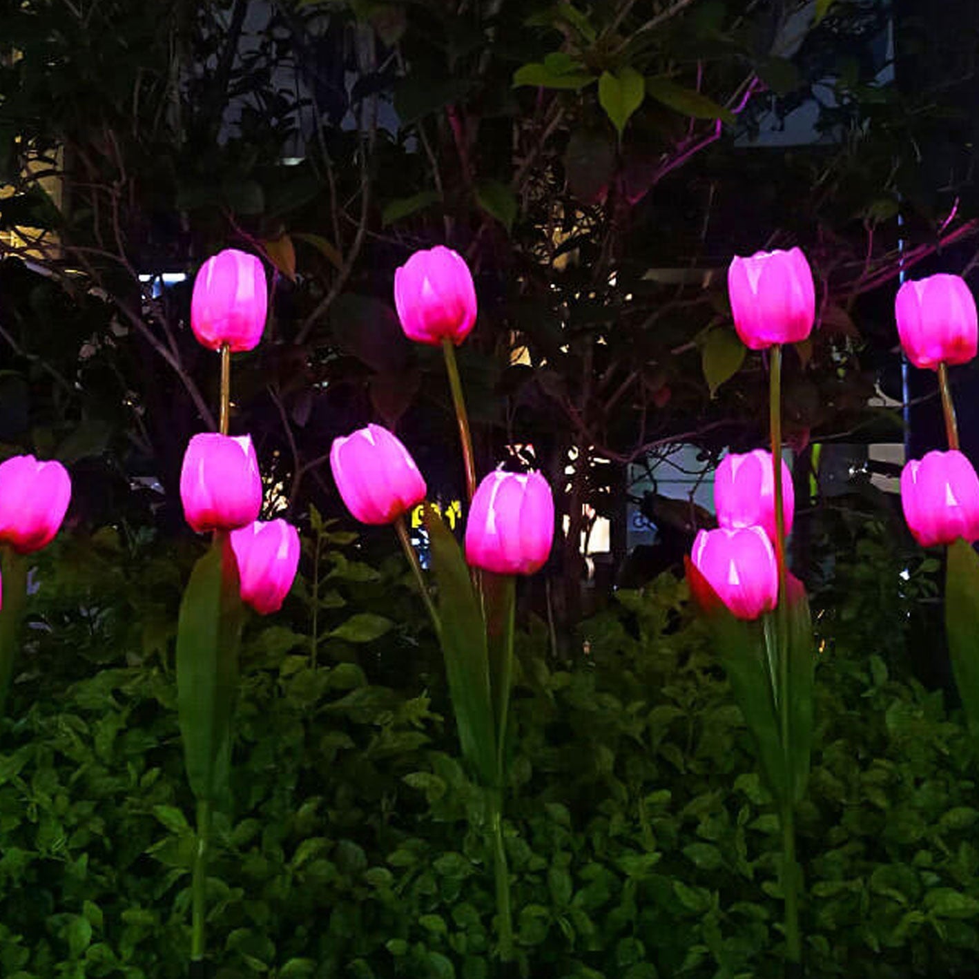 Norvo | Solar Tulip Plenlys Utendørs Hage LED Tulipan Blomsterlys Bakke Stakelandskapslys