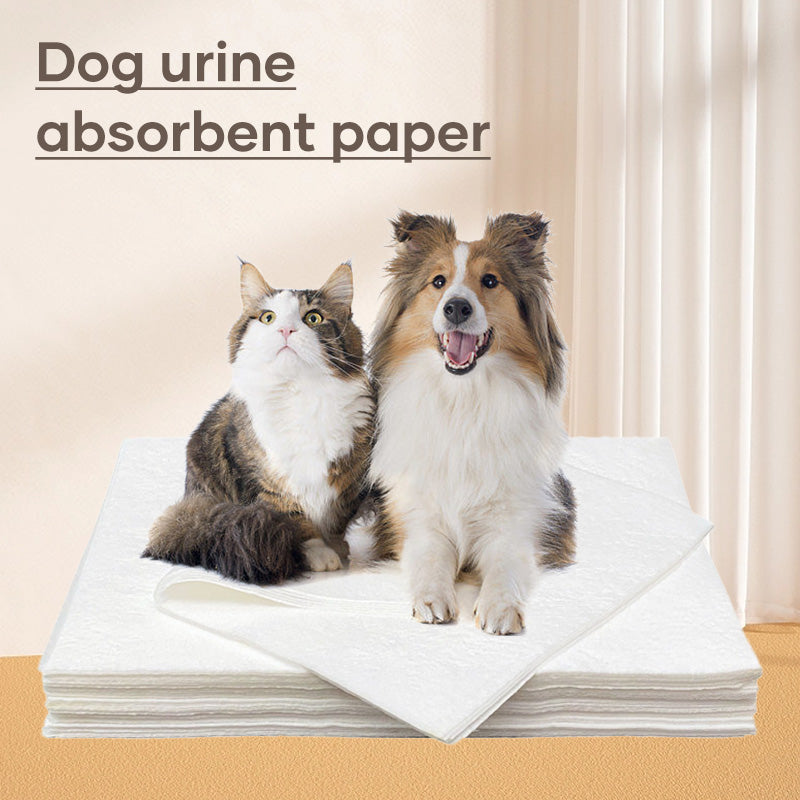 Norvo | Pet Absorbent Paper (50 stykker)
