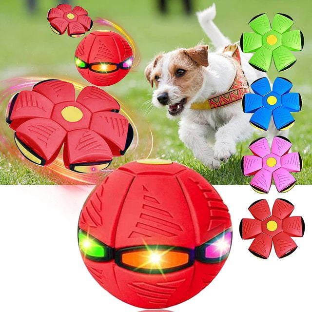 FlyingFrisball - Frisbee Ball for Dogs Norvo