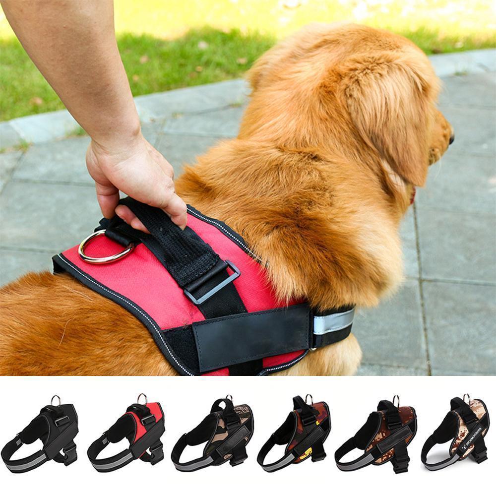 Norvo | All-in-One Ingen Dra Hundesele