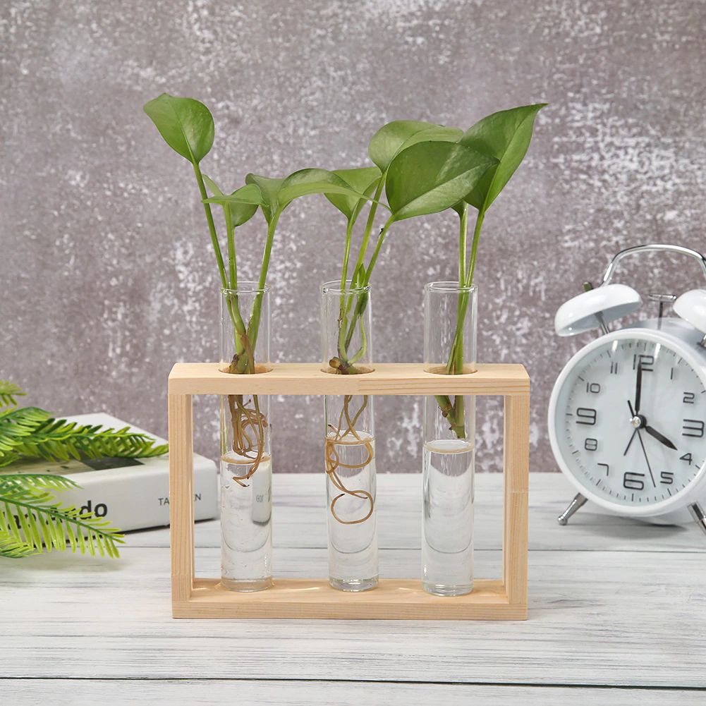 Norvo | Test Tube Vase