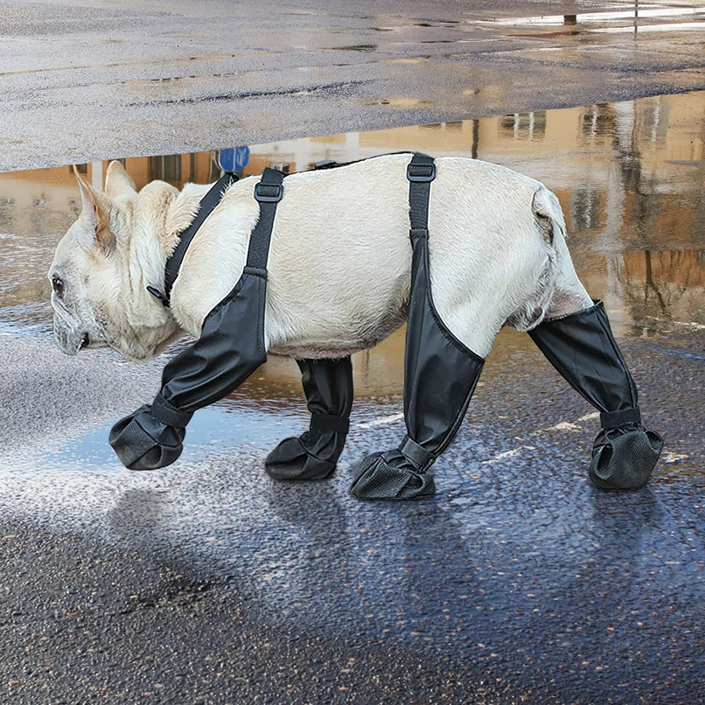 Norvo | Anti-Fall Hund Utendørs Gå Løpe Tur Støvler med Hjelpesnor