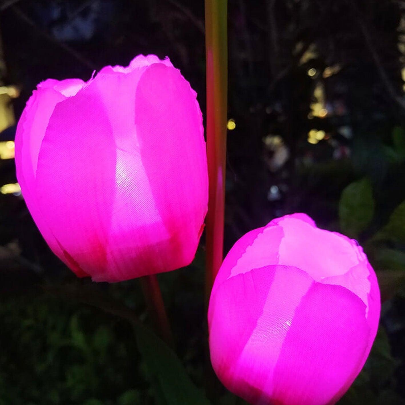 Norvo | Solar Tulip Plenlys Utendørs Hage LED Tulipan Blomsterlys Bakke Stakelandskapslys