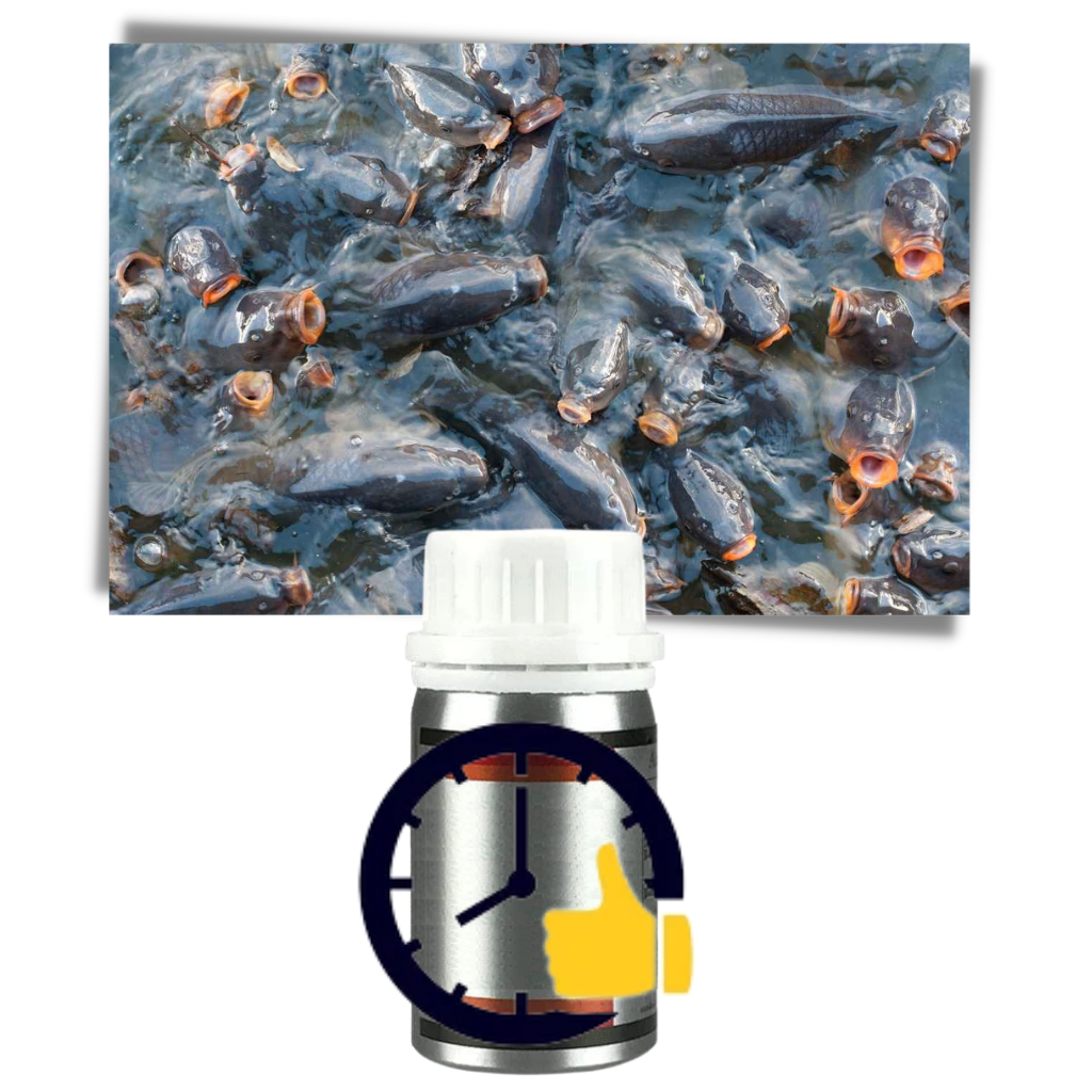 Attraktiv fiskesluk