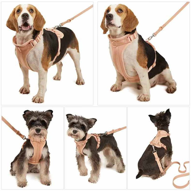 Norvo | Adjustable Dog Vest Harness with 3 Leash Clips