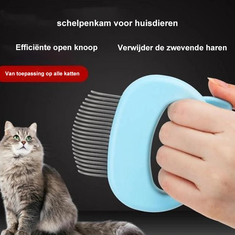 Norvo | & Trimplezier For Cat