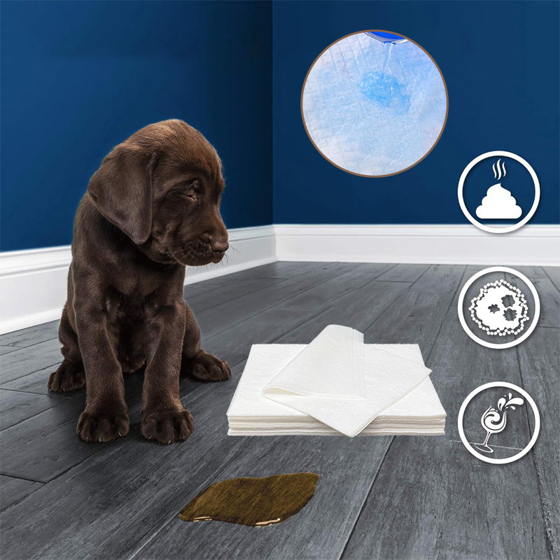 Norvo | Pet Absorbent Paper (50 stykker)