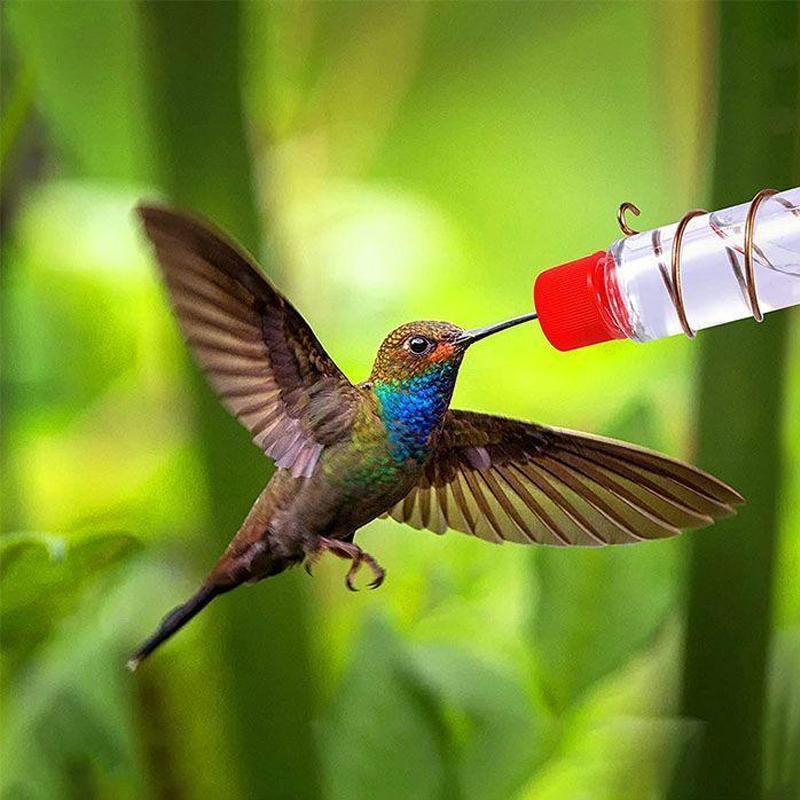 Norvo | Vindus Kolibri Matare