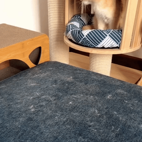 3-i-1 Kjæledyrhårfjerner - PetClean Pro Norvo