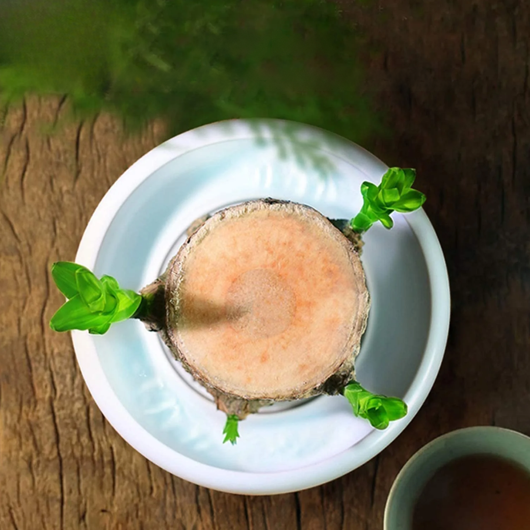 Brasiliansk Formue Treplante - Ta med økonomisk lykke og velstand Norvo