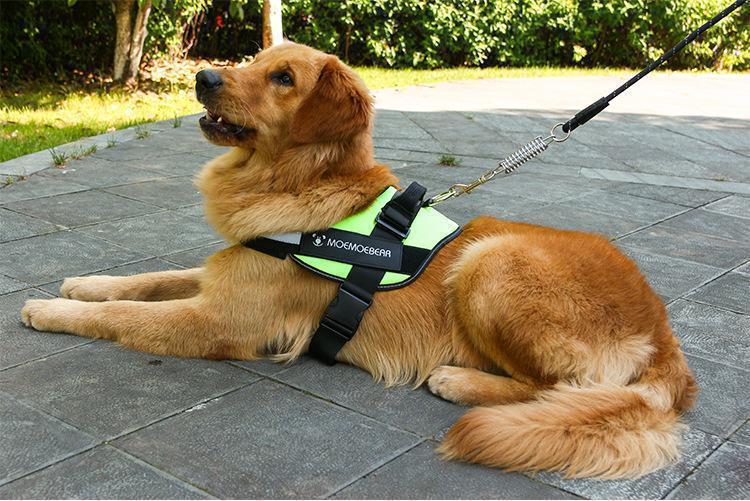 Norvo | All-in-One Ingen Dra Hundesele