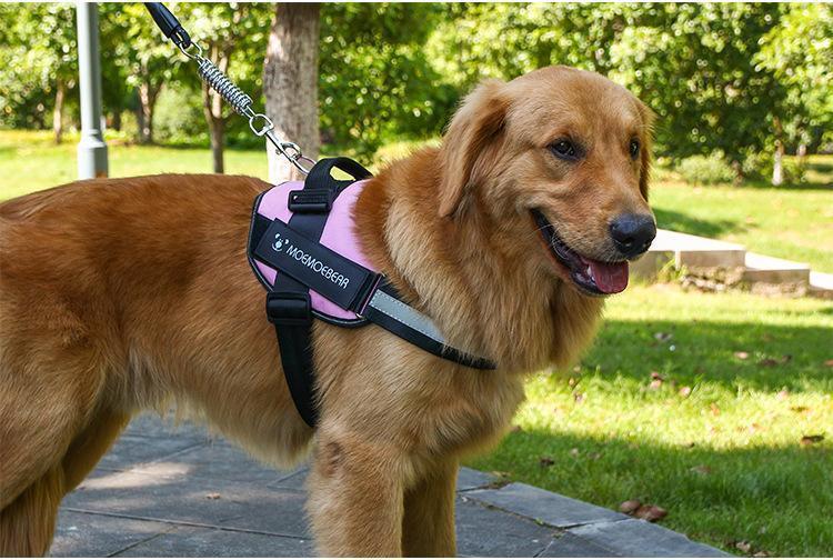 Norvo | All-in-One Ingen Dra Hundesele