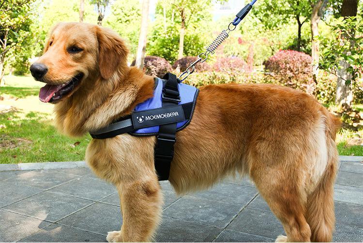 Norvo | All-in-One Ingen Dra Hundesele