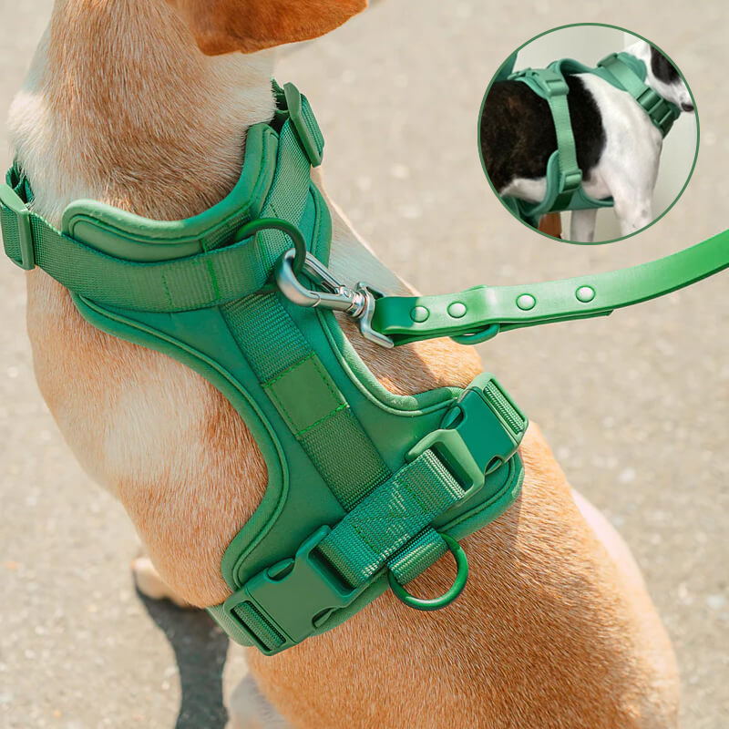 Norvo | Adjustable Dog Vest Harness with 3 Leash Clips