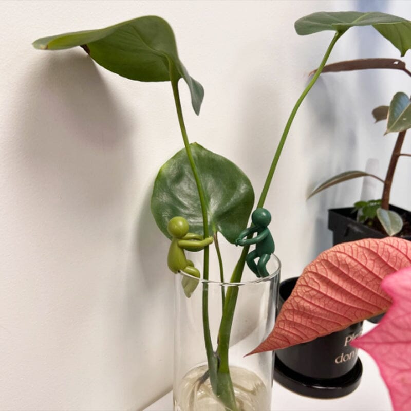 Norvo | Planteformering Venn