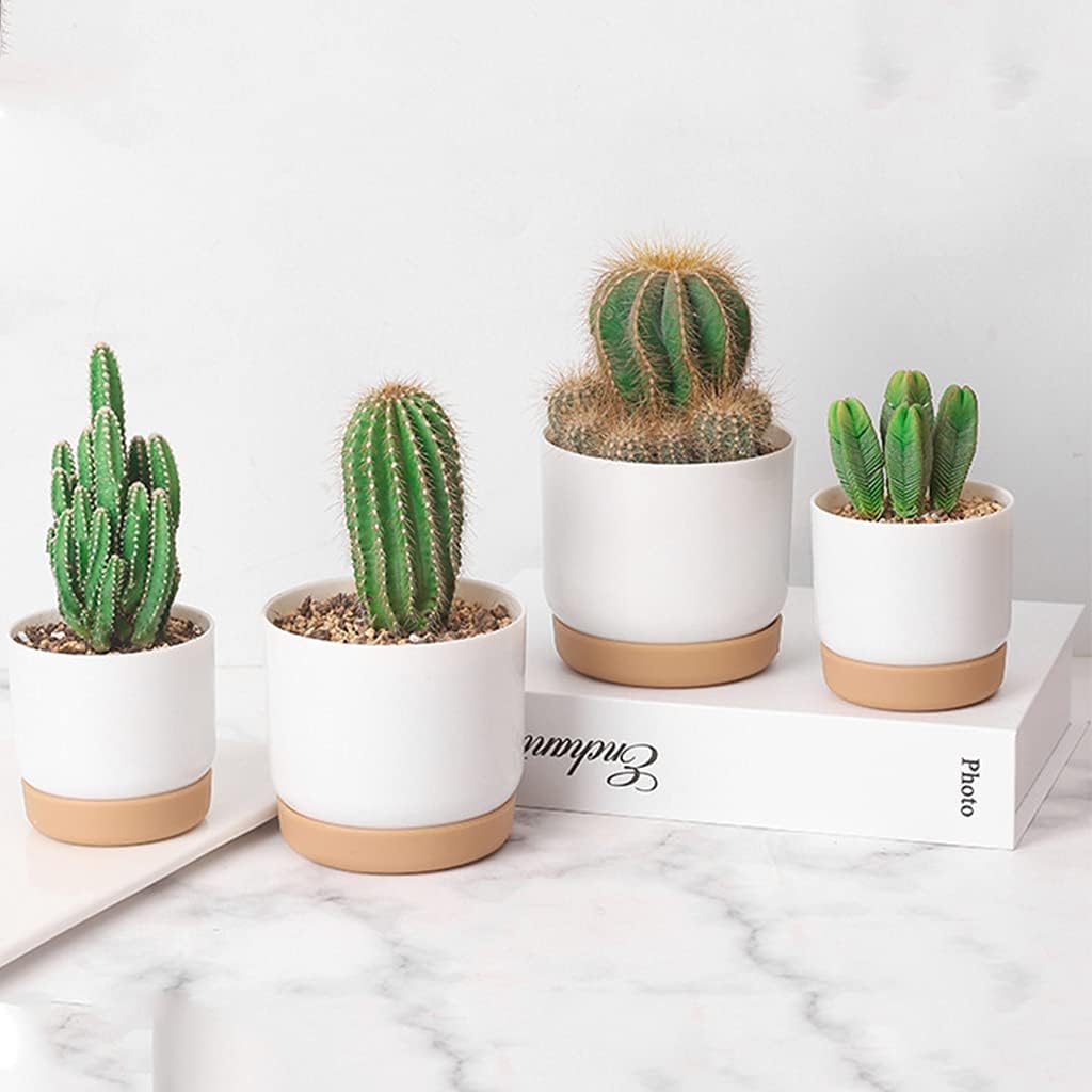 Norvo | Selvvannende blomsterpotte for orkideer og planter – Plast plantecontainer