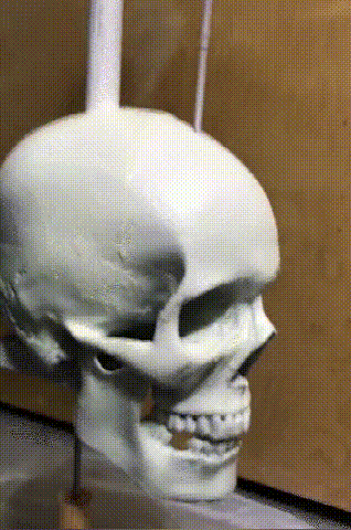 Norvo | Iron Skull Whirligig - Hagedekor