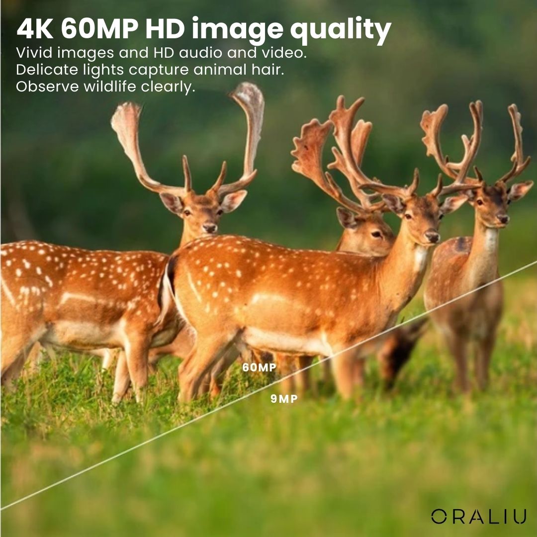 Norvo | 4K Ultra HD Viltkamera – 60MP med appkontroll