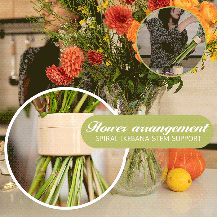 Norvo | Spiral Ikebana Stilkholder