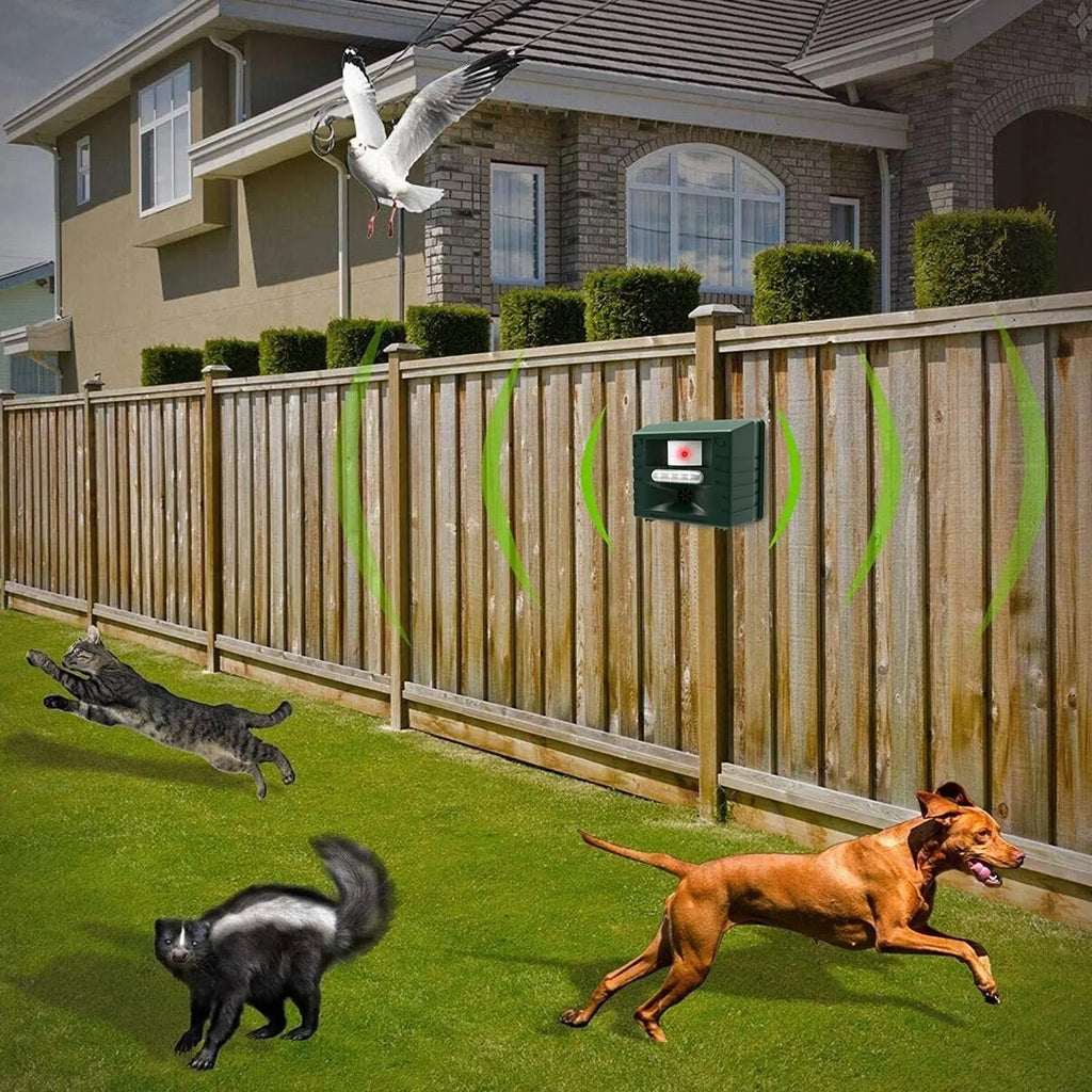 Norvo | Ultrasonic Woodpecker Repeller – Effektiv og human fugledeterrent for hager og hjem