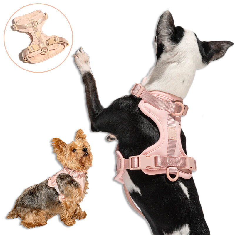 Norvo | Adjustable Dog Vest Harness with 3 Leash Clips