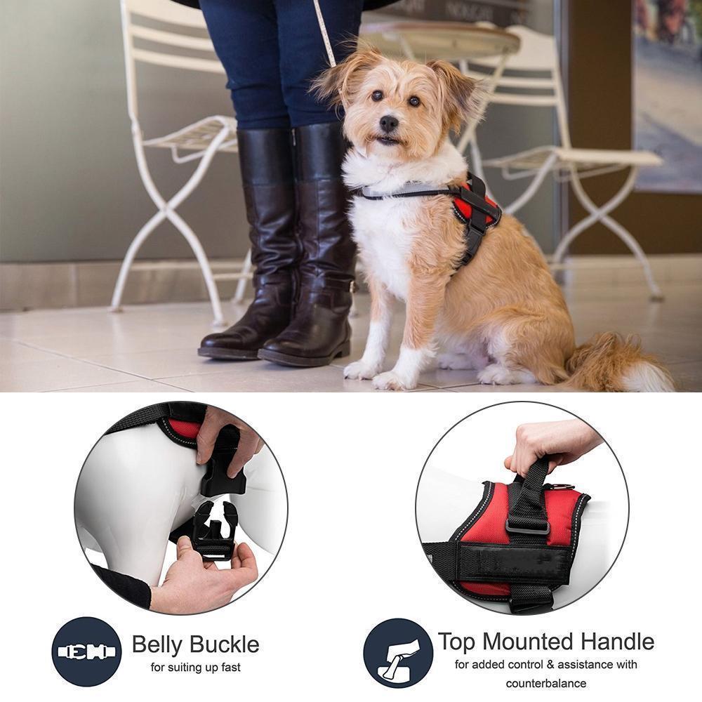 Norvo | All-in-One Ingen Dra Hundesele