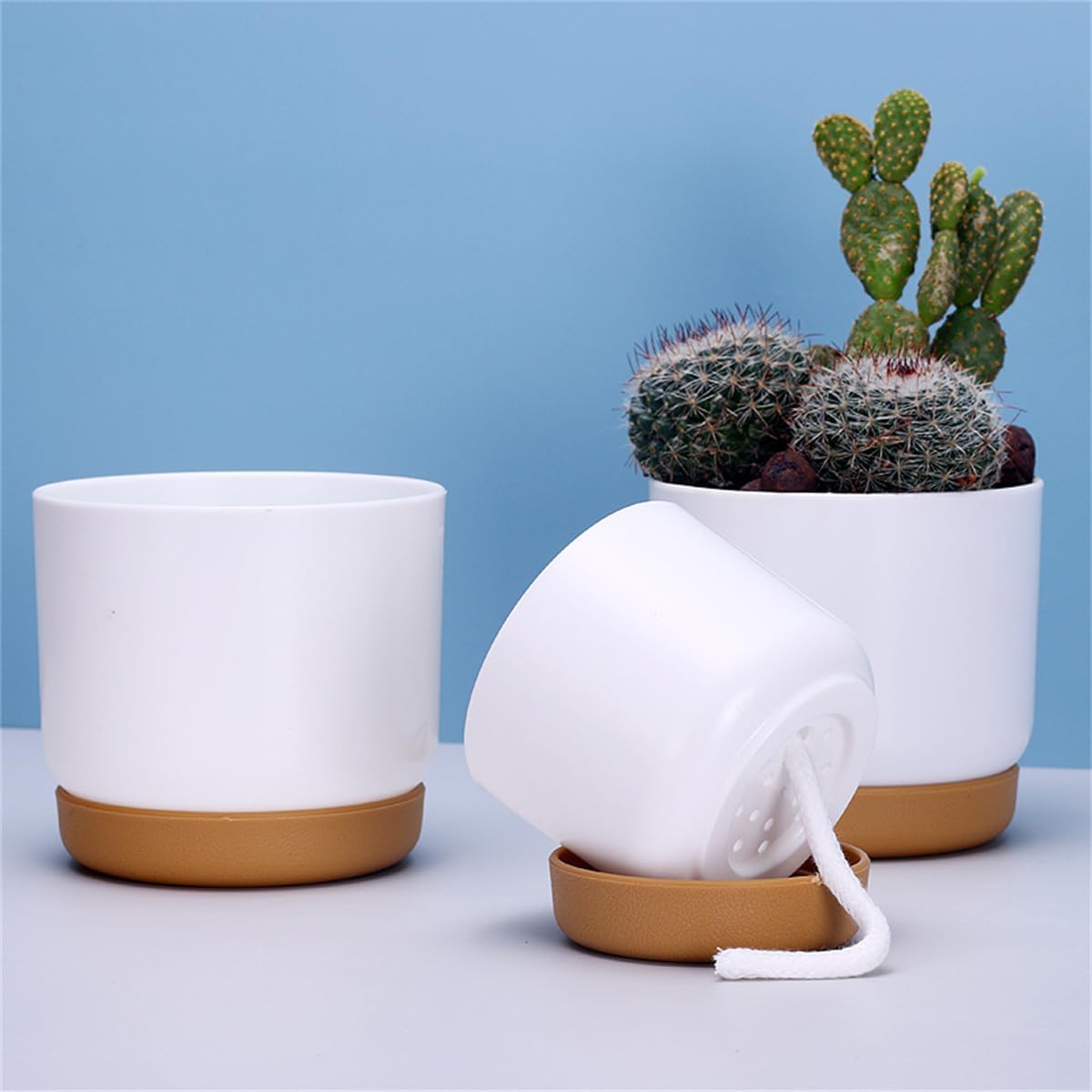 Norvo | Selvvannende blomsterpotte for orkideer og planter – Plast plantecontainer