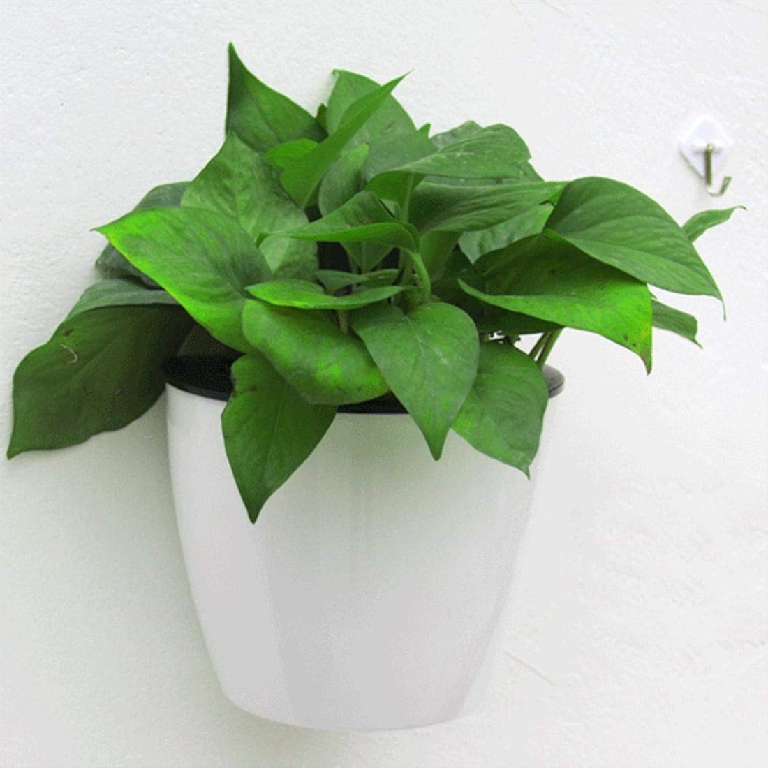 Norvo | Selvvannende hengende planterpotte – Moderne blomsterpotte for veggmontering
