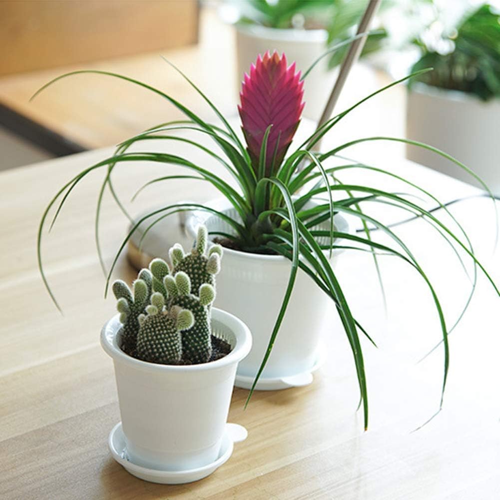 Norvo | Pustende Rotkontroll Potte for Planter – Ideell for Sunt Vekst og Optimal Lufting