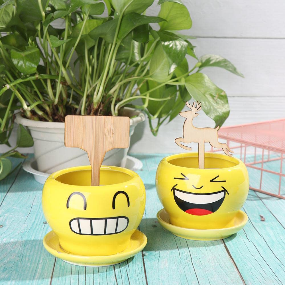 Norvo | Planteetiketter laget av tre for hage og balkong – Om skrivbare etiketter for urter og planter