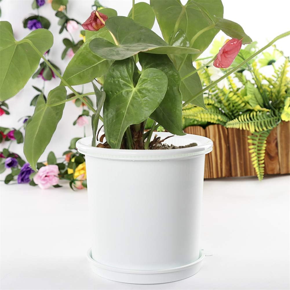 Norvo | Pustende Rotkontroll Potte for Planter – Ideell for Sunt Vekst og Optimal Lufting