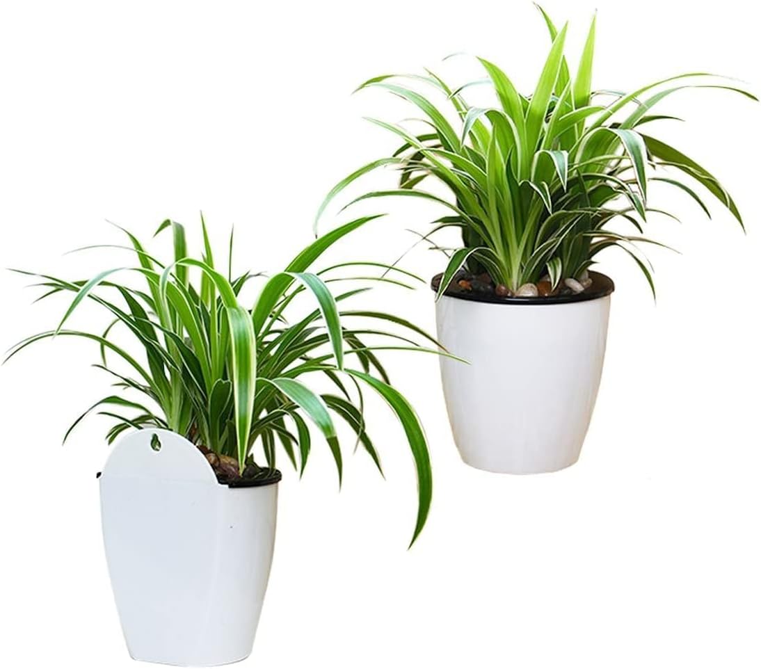 Norvo | Selvvannende hengende planterpotte – Moderne blomsterpotte for veggmontering