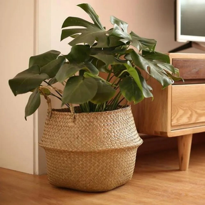 Norvo | Rattan Planteholder