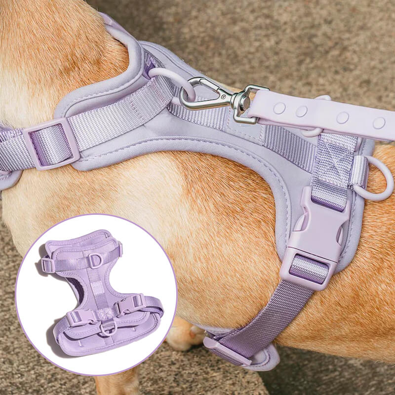 Norvo | Adjustable Dog Vest Harness with 3 Leash Clips