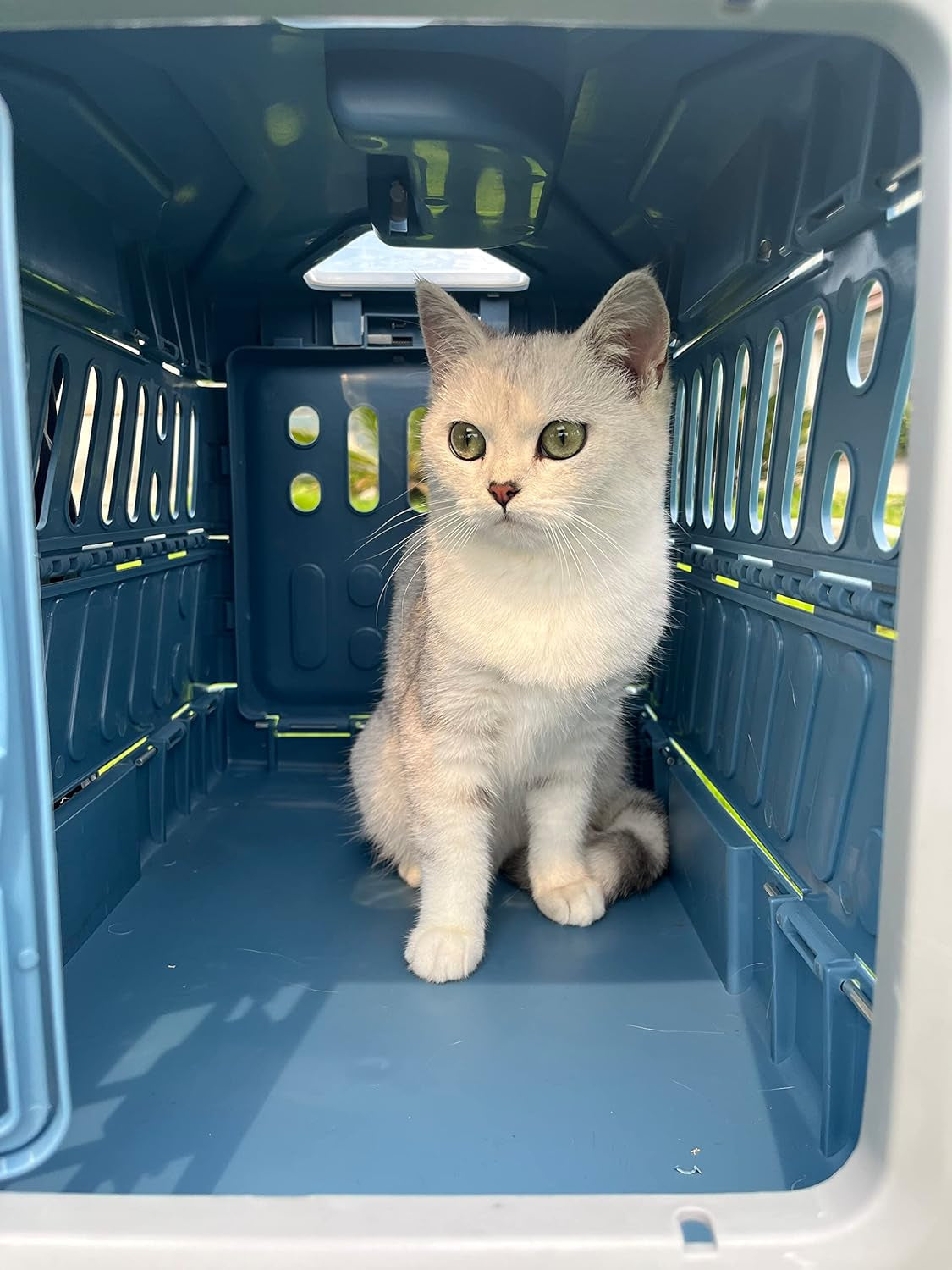 Sammenleggbart kjæledyrtransportboks Norvo